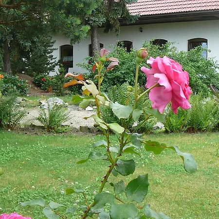 شقة La Ferme De Sissi